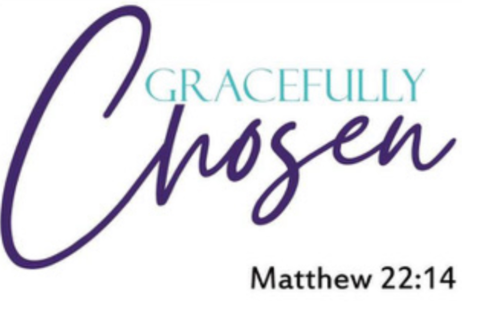 IMG_4575.jpeg (221 KB)