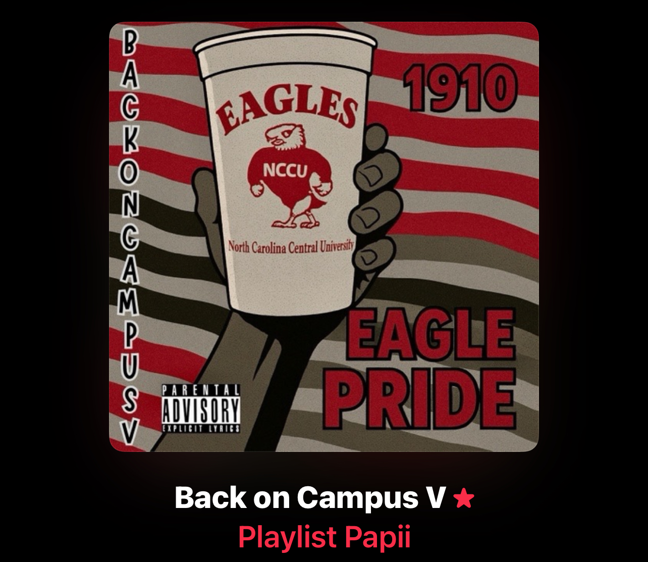 IMG_8585.jpeg (799 KB)