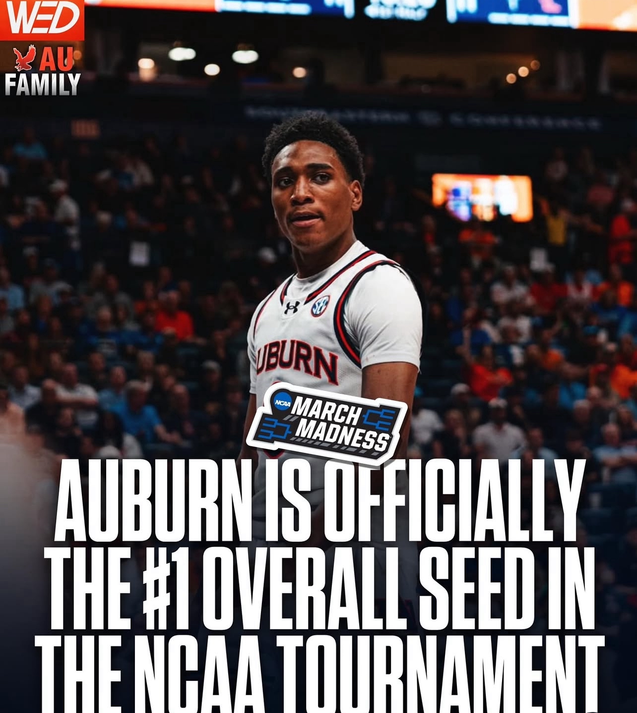 IMG_8073.jpeg (1.08 MB)